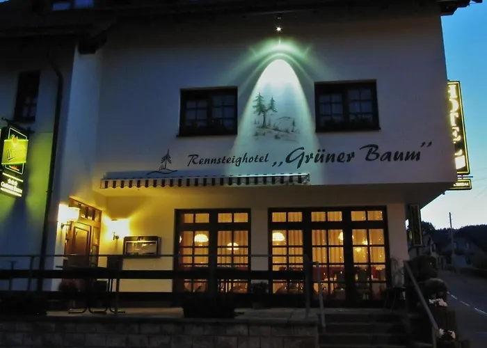 Rennsteighotel Gruener Baum Шмидефельд-ам-Ренштайг
