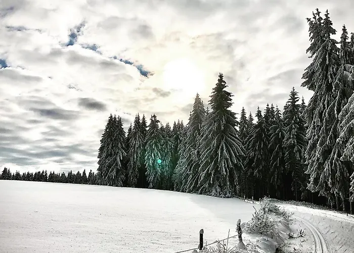 Hotel Rennsteighotel Gruener Baum Schmiedefeld am Rennsteig